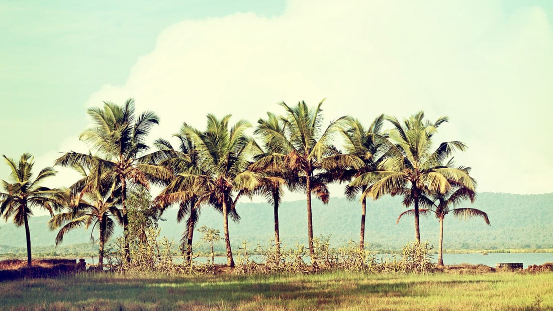 b madrids photographer marathon 02