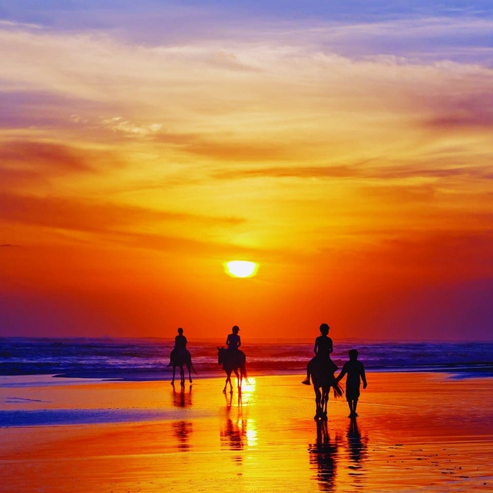 Lifestyle 0001s 0002 Capa 29