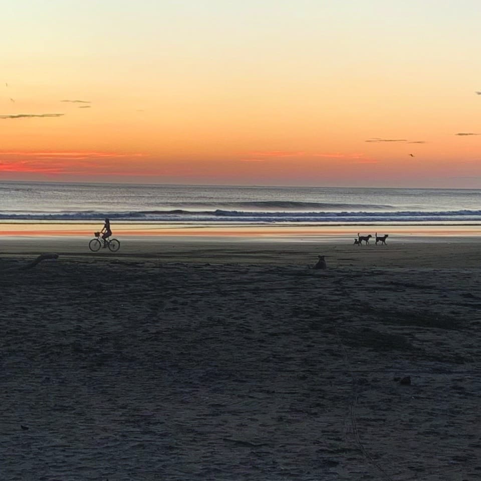 Lifestyle 0001s 0007 Capa 24