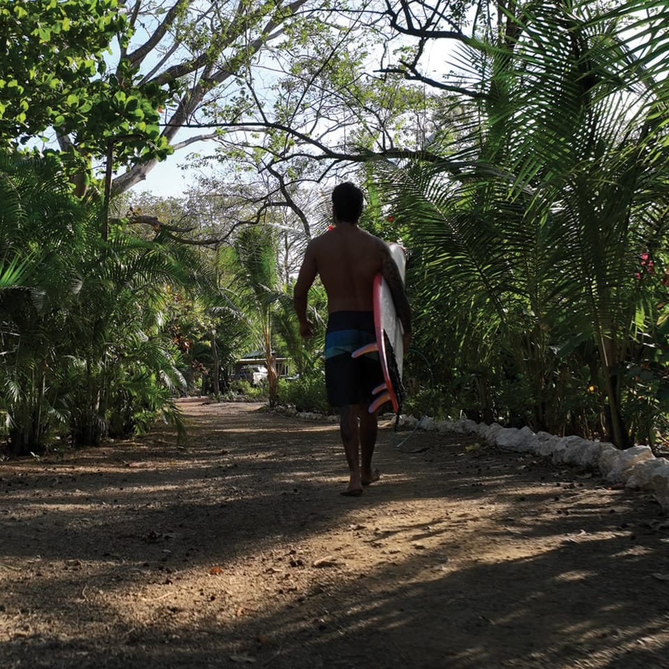 Surf 0000s 0003 Capa 31